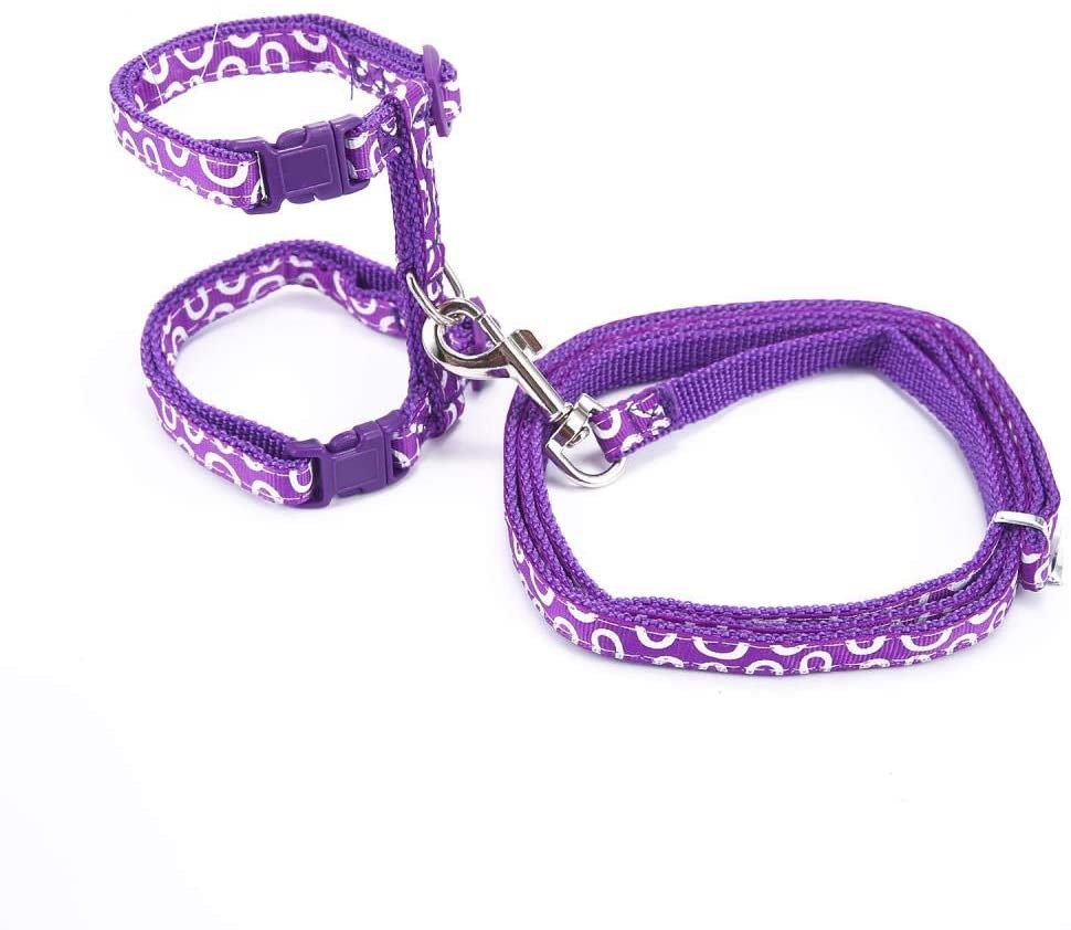  GOUSHENG collar Mascotas Perros  Gatito Ajustable/Hurón/Conejo/Gato Arnés Y Correa para Caminar Prueba De Escape, Conejito Suave Correa De Nylon Cinturón De Seguridad Cables para Hurones, Gatos 