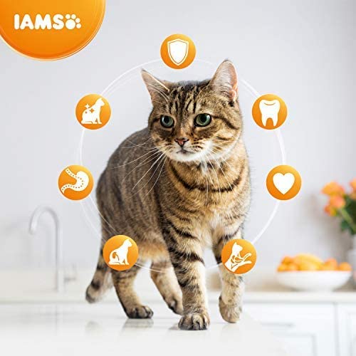  IAMS for Vitality Alimento para Gatos de Edad Avanzada con pollo fresco [10 kg] 