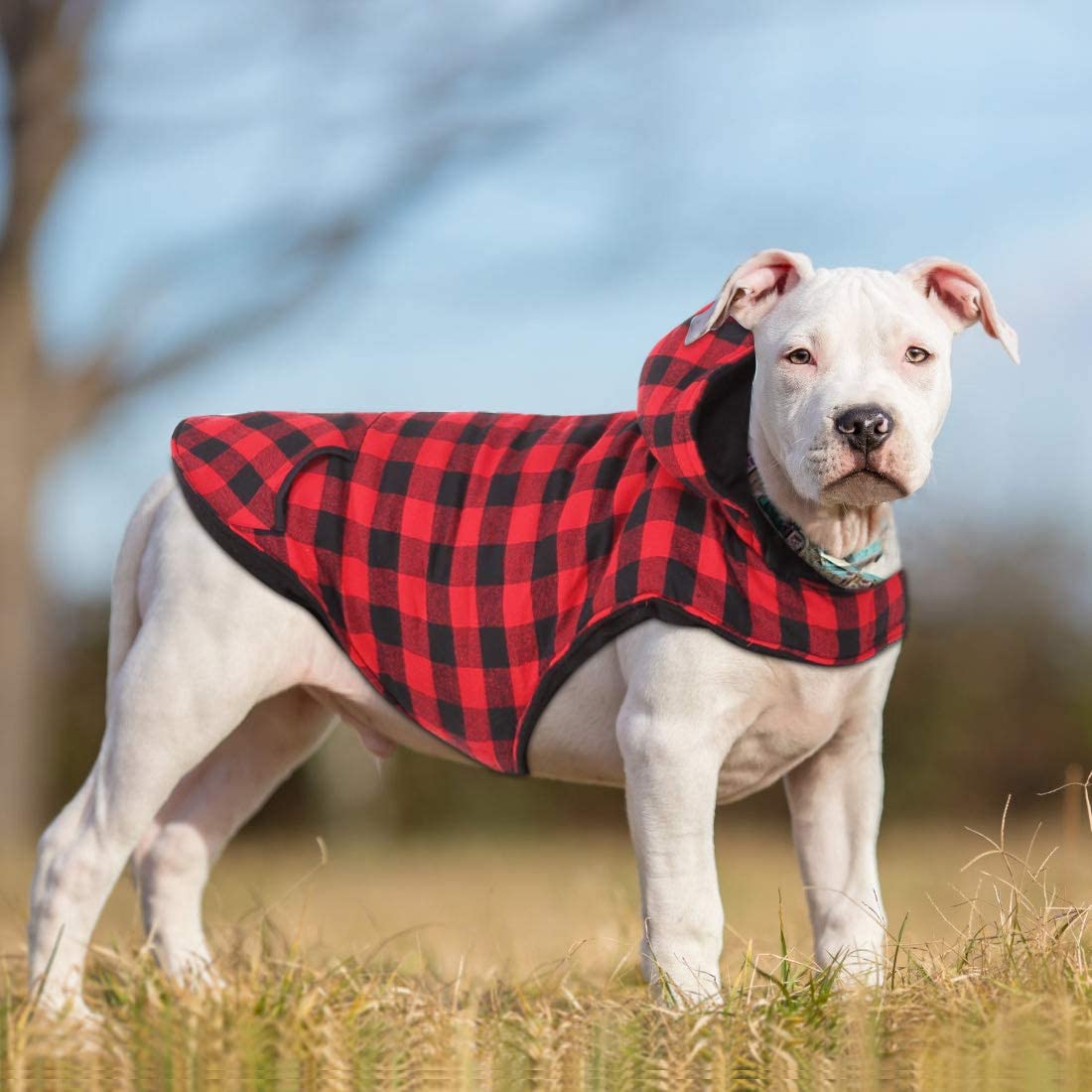  Idepet Camisa con capucha a cuadros para perros, ropa de invierno para mascotas Chaleco Disfraces Abrigo suave y cálido para perros pequeños medianos grandes Gatos 