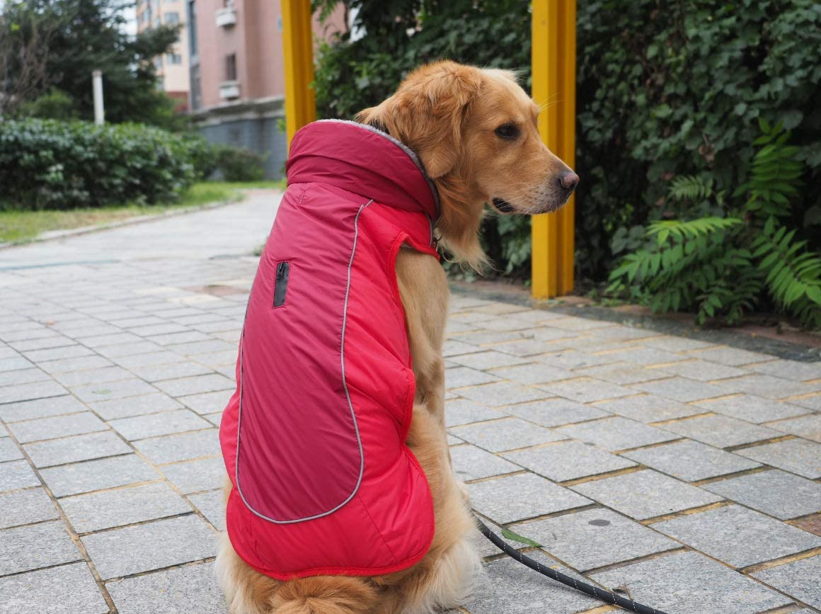  Idepet Chaqueta abrigada para perros, traje para nieve resistente al agua para mascotas, ropa reflectante a prueba de viento para perros pequeños, medianos y grandes, forro de algodón suave 