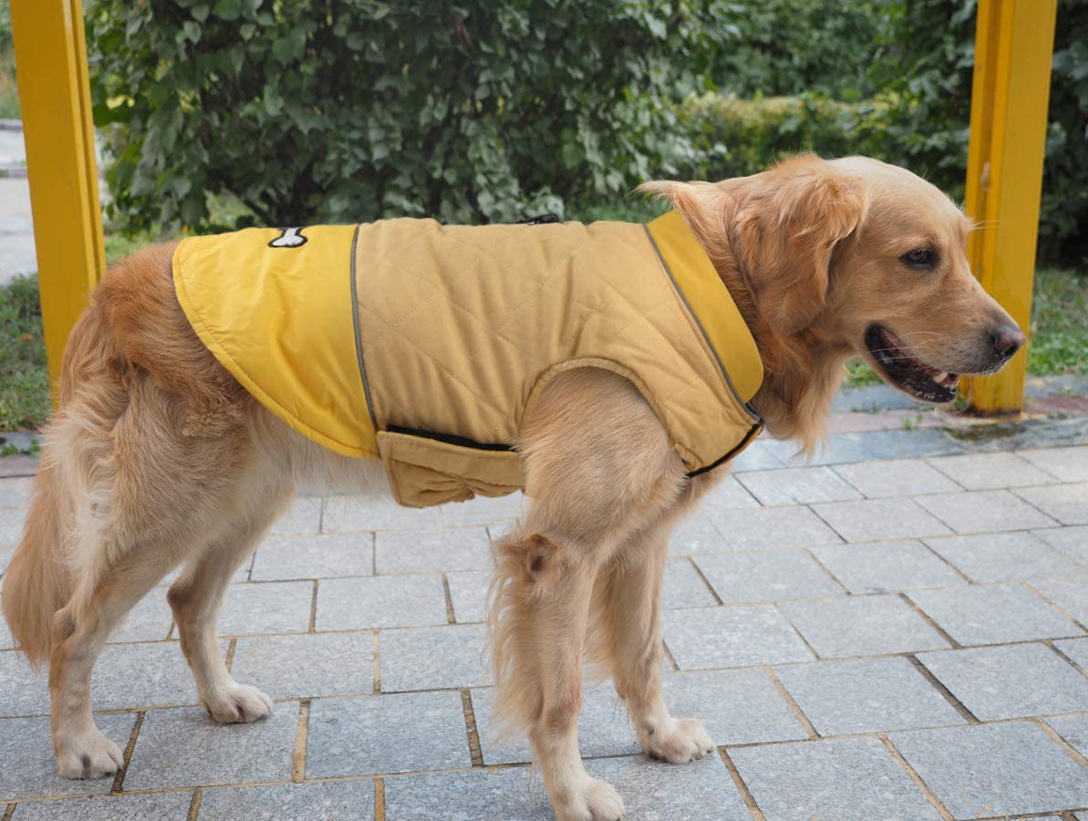  Idepet Chaqueta impermeable para perros Chaqueta cálida de invierno Chaleco, traje de nieve a prueba de viento Ropa para perros Chaleco para mascotas Ropa para perros con orificio para arnés 