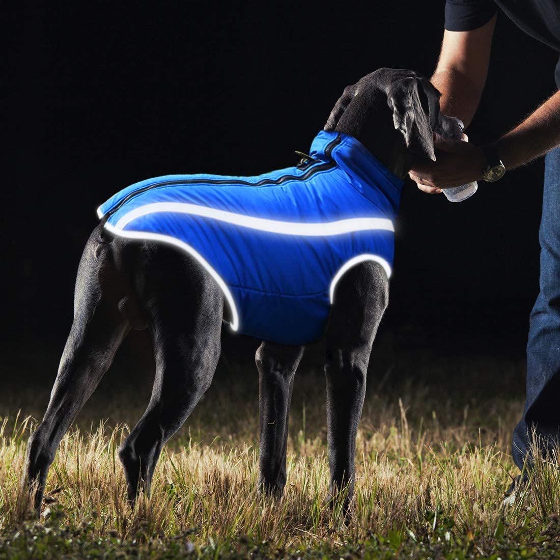  Idepet Impermeable Abrigo para perros Chaqueta abrigadora de invierno, Ropa impermeable para perros al aire libre Traje Chaleco para perros pequeños medianos grandes con orificio para arnés 