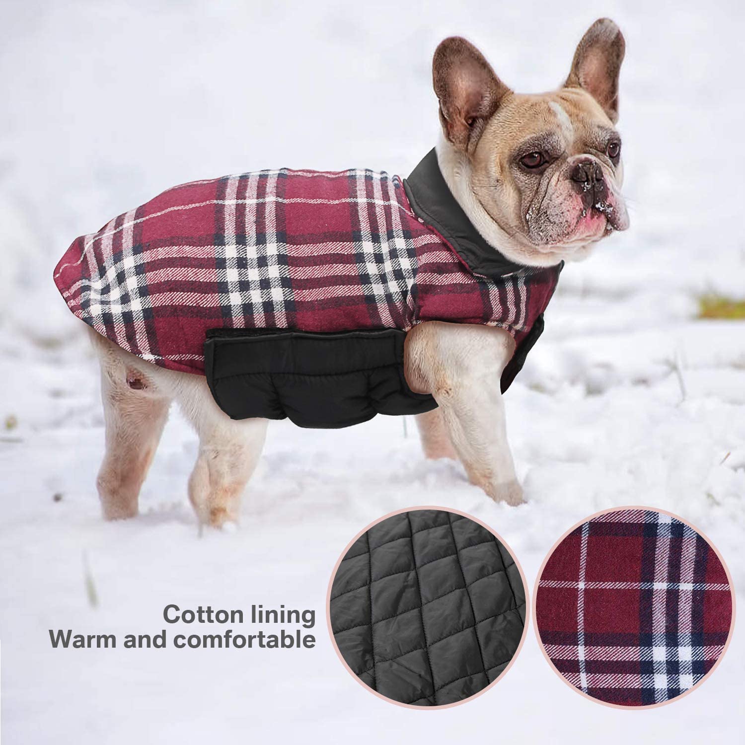  IREENUO Abrigo Perro Chaqueta Perro Invierno Ropa Escoces Acolchado para Perro Pequeño y Mediano 