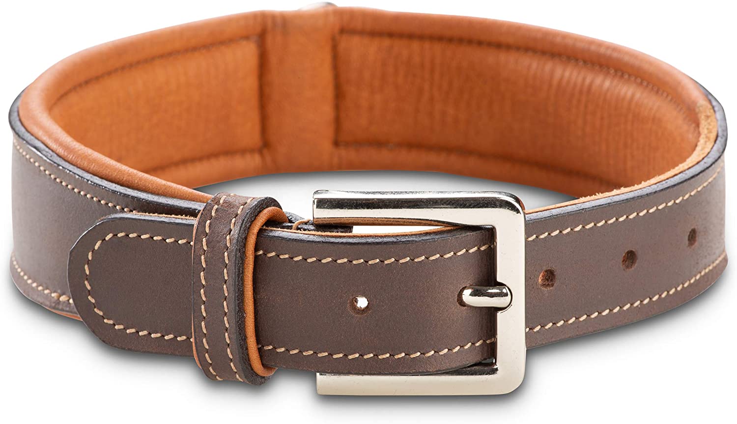  Jack & Russell Premium Perro Cuero Collar Amy - Collar de Cuero Genuino con Grabado Original de J & R Sello en Relieve - Robusto y Elegante (M - Circunferencia del Cuello 40,5-46,5 cm) 