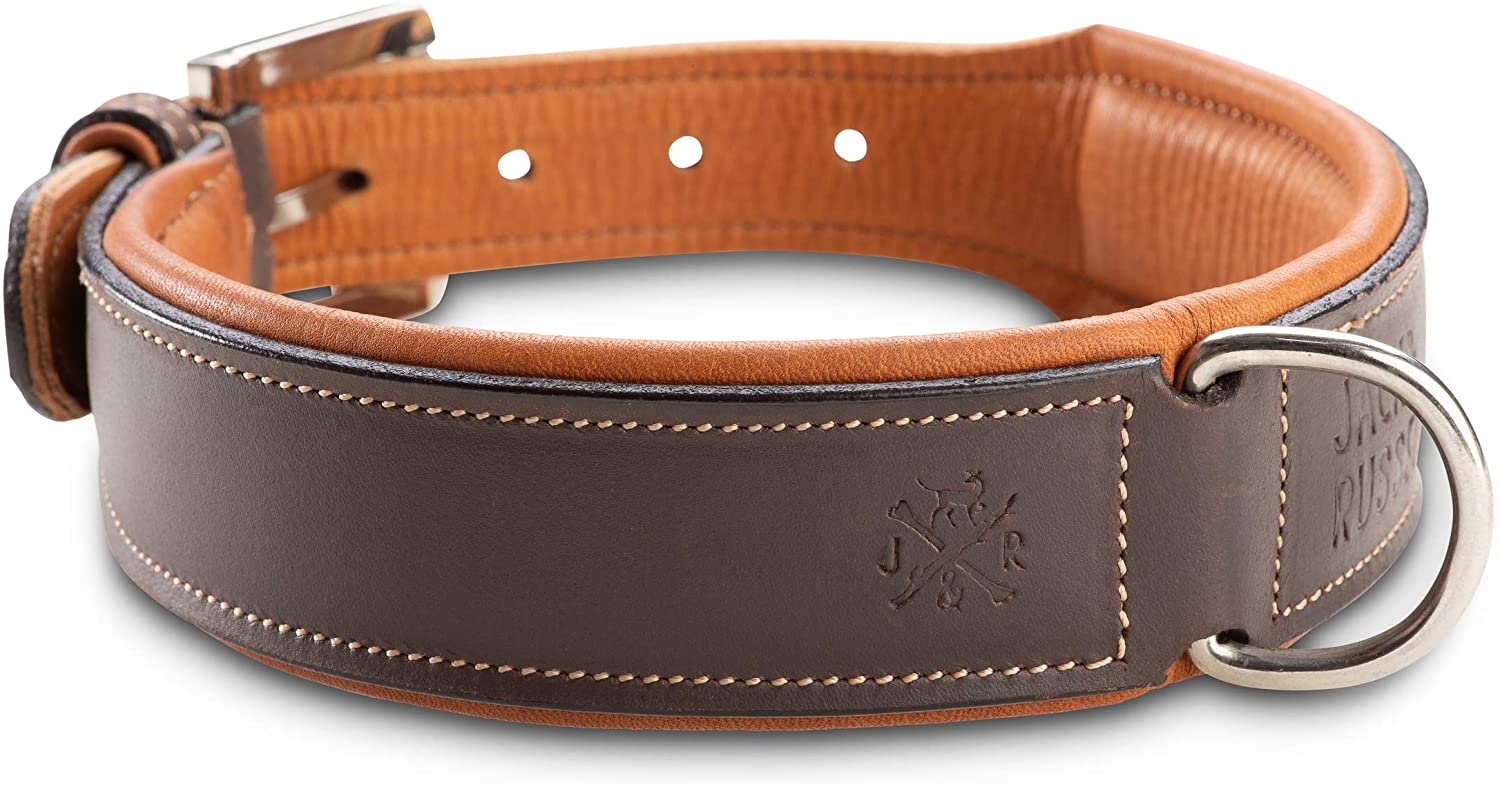  Jack & Russell Premium Perro Cuero Collar Amy - Collar de Cuero Genuino con Grabado Original de J & R Sello en Relieve - Robusto y Elegante (M - Circunferencia del Cuello 40,5-46,5 cm) 