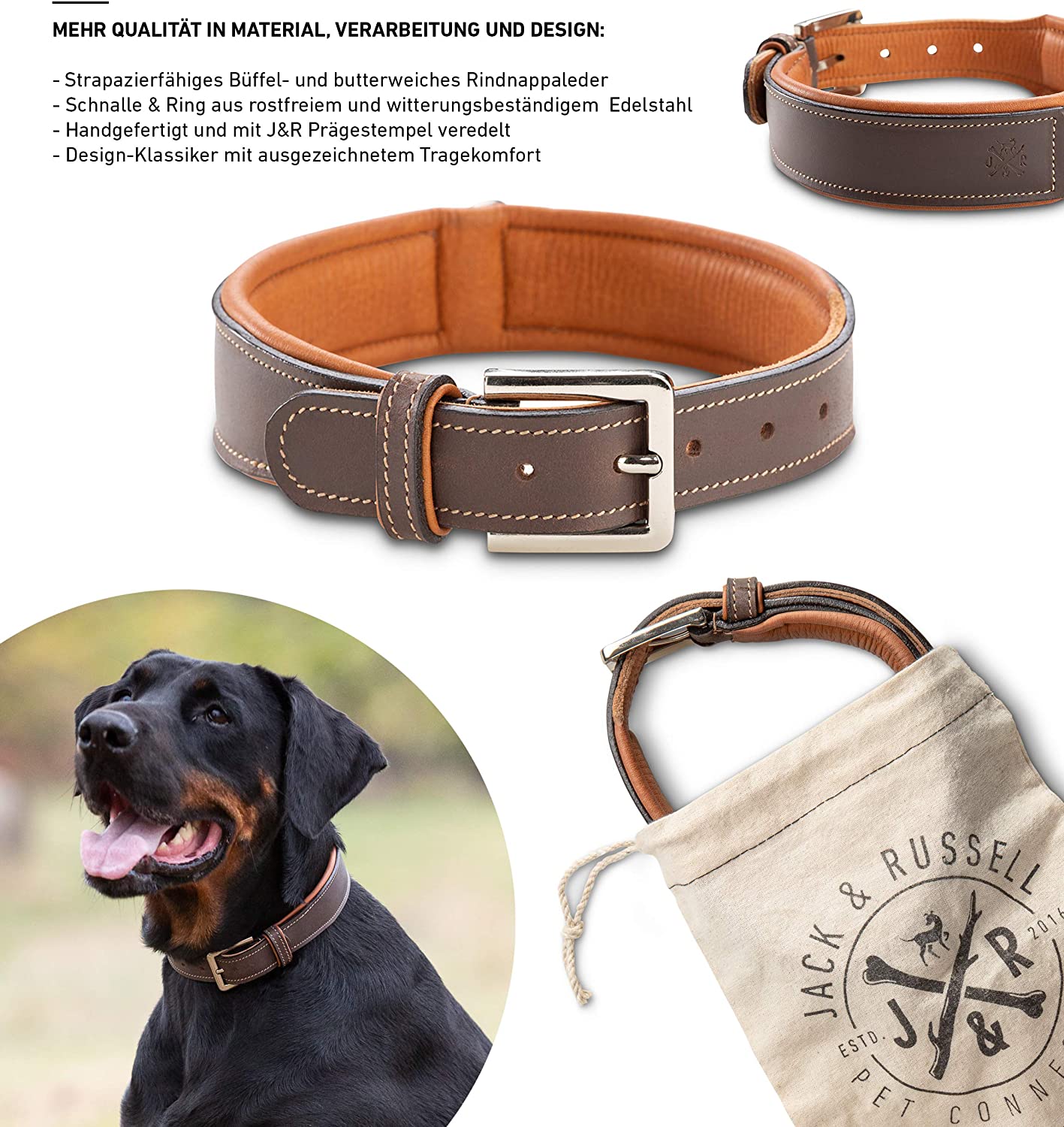  Jack & Russell Premium Perro Cuero Collar Amy - Collar de Cuero Genuino con Grabado Original de J & R Sello en Relieve - Robusto y Elegante (M - Circunferencia del Cuello 40,5-46,5 cm) 