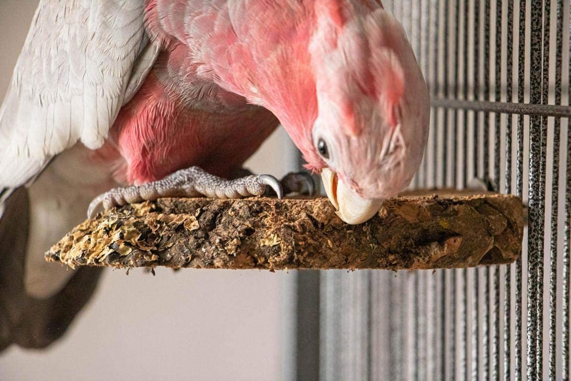  Juego de 3 Perchas para pájaros de Corteza de Corcho Natural. para Sentarse y Picar. Perchas de Corcho para periquitos, Canarios, Loros y Otras Aves (3 Piezas por Juego) 