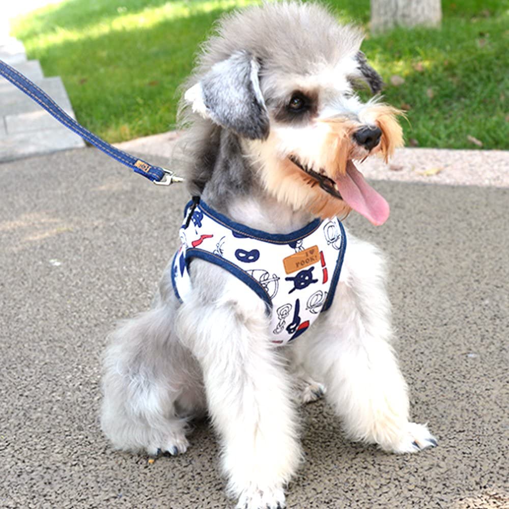  Juego de arnés y correa para mascota de SANFENG, perro, gato, perro, vaquero, perfectos para mascotas medianas y pequeñas, cachorro, para caminar, correr, senderismo 