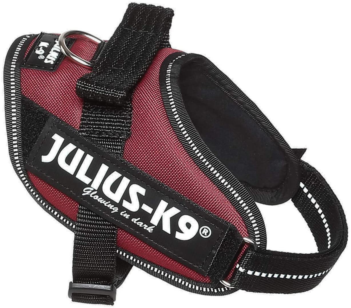  Julius-K9 16IDC - Power Harness 