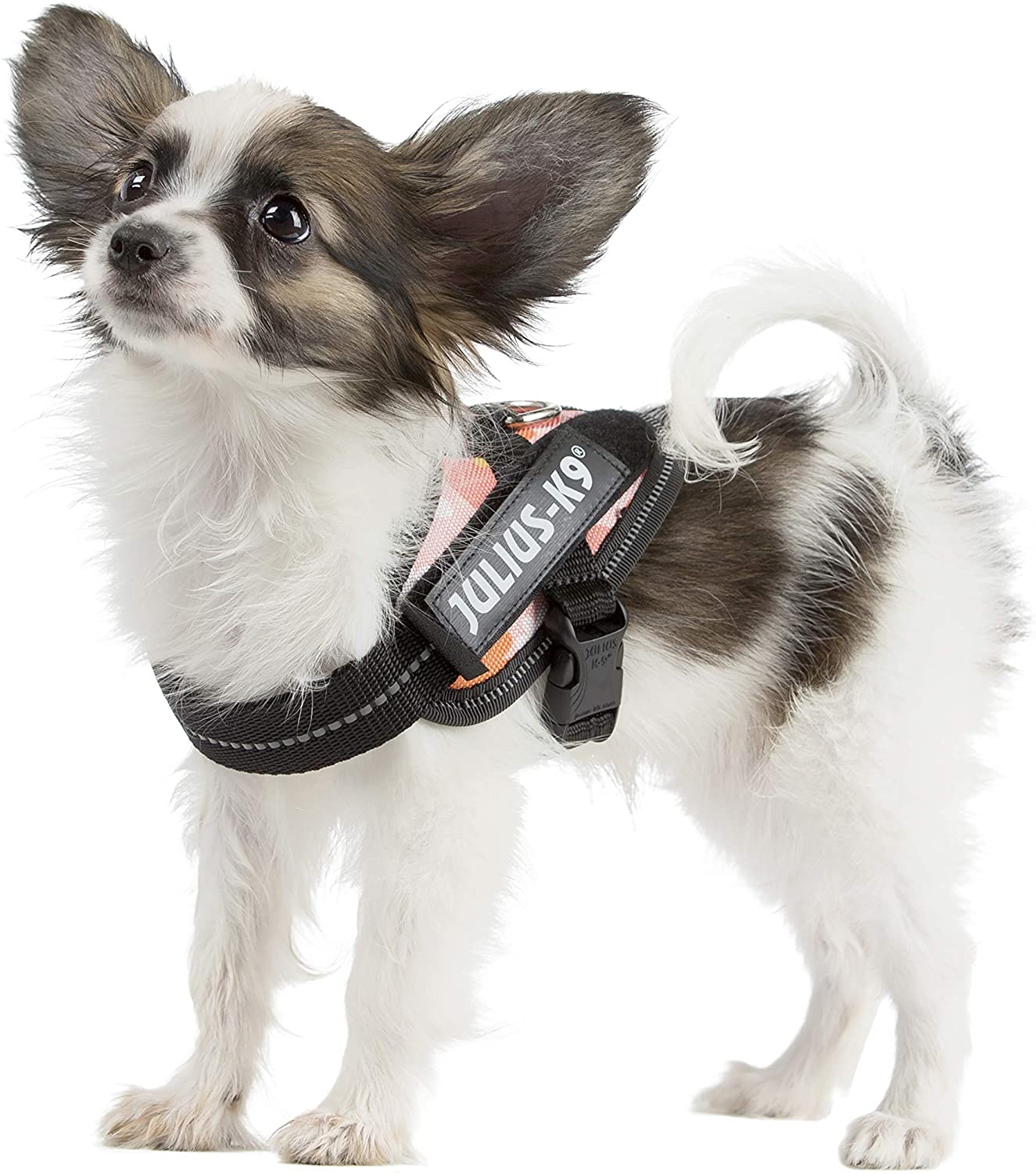  Julius-K9 16IDC - Power Harness 