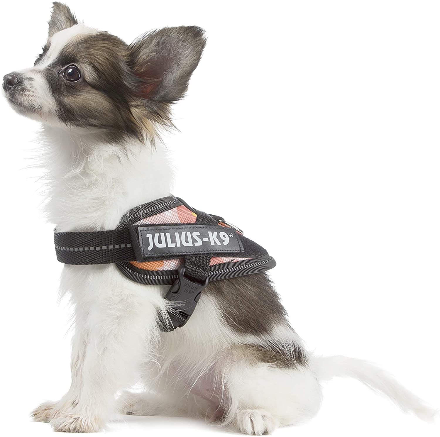  Julius-K9 16IDC - Power Harness 