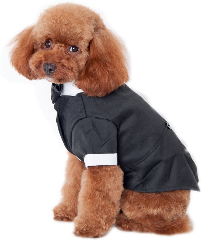  Keysui Mascotas fiesta traje Formal traje ropa abrigo para perros ropa 