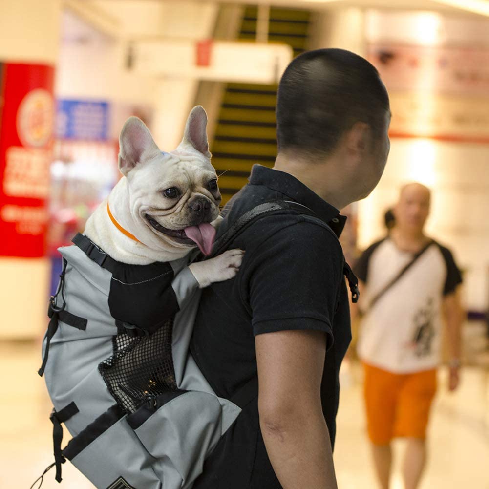  LanLan Mochila para Mascotas llevarlas al Aire Libre, Mochila para Perros de compañía para Perros Grandes, Bolsa de Viaje Transpirable para Montar 