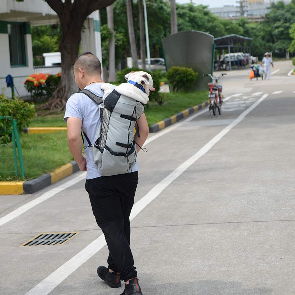  LanLan Mochila para Mascotas llevarlas al Aire Libre, Mochila para Perros de compañía para Perros Grandes, Bolsa de Viaje Transpirable para Montar 