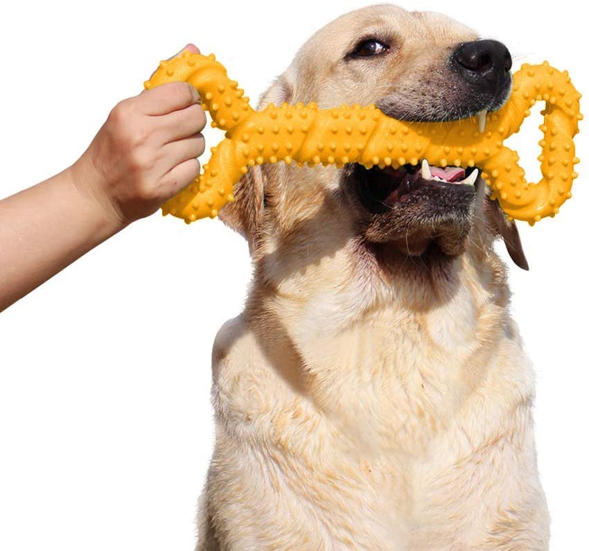  LANYUKEJI Duros Juguetes morder para Perros, 13 Pulgada Goma Juguete Forma de Hueso con Superficie Convexa Resistente Juguetes interactivos para Cachorro de Perros pequeños medianos y Grandes 