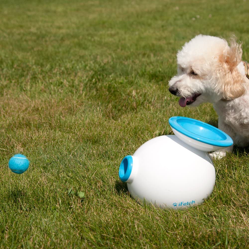  Lanzador de pelotas automático para perros iFetch 