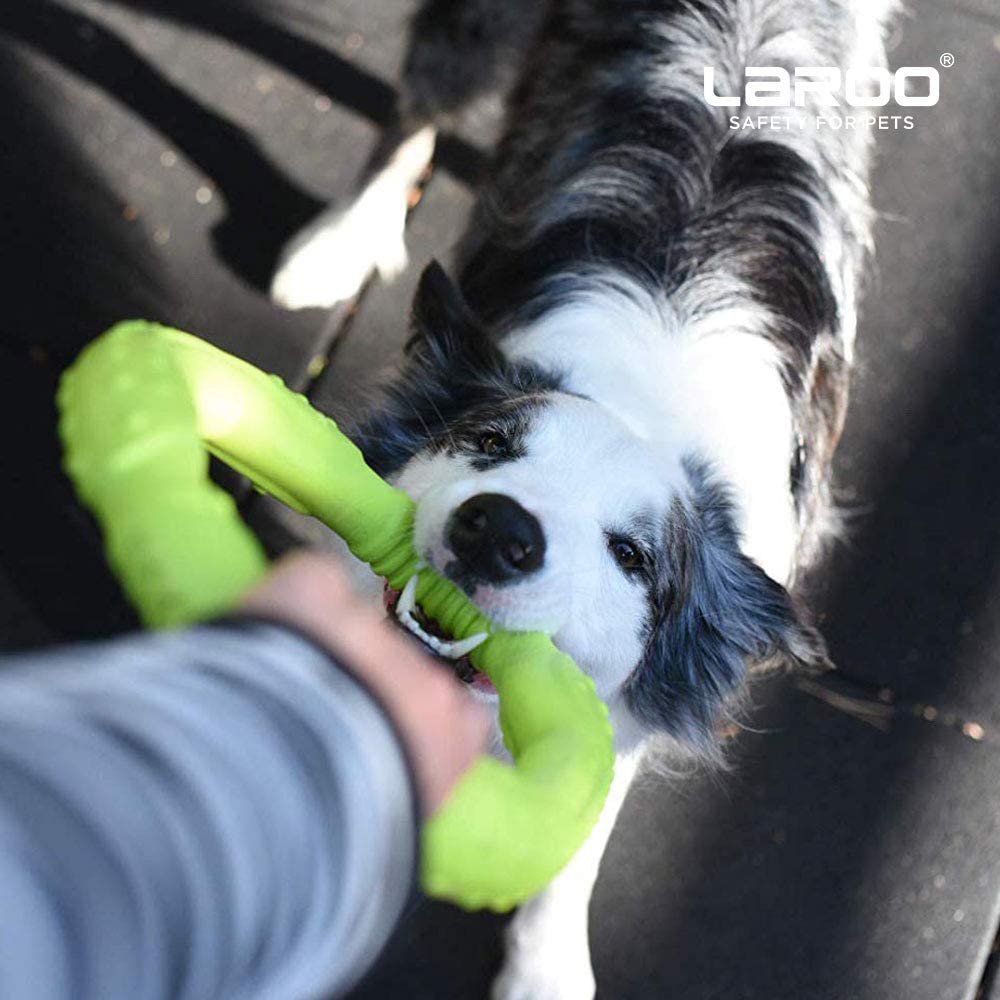  LaRoo Dog Frisbee Dog Disc Toy, Disco de Lanzamiento Duradero para Perros Fuertes para Perros pequeños, medianos y Grandes, Deporte, Ejercicio, Actividad y Juegos al Aire Libre (30 cm Verde) 