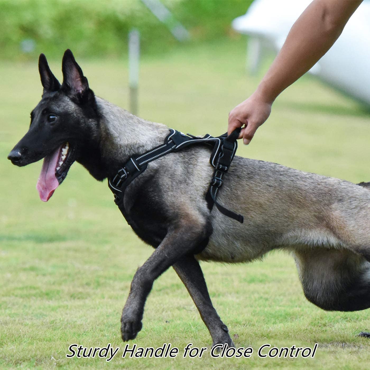  Louvra Arnés del Perro Antitirones Básicos Adjustable de Nylon, Reflectante para Las Actividades al Aire Libre 