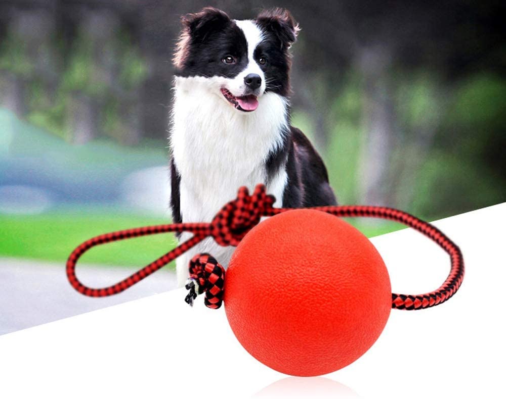  Lxixd Perro Bola del Juguete Hinchable Bola sólida del Perro casero Rubber Ball Juguete Que despide la Bola de la mordedura de Limpieza de los Dientes de mascar VIP Teddy Que Panda Cuerda de Remolque 