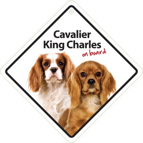  Magnet & Steel 23-3651 Señal Ventosa Cavalier King Charles on Board, 14 x 14 cm 