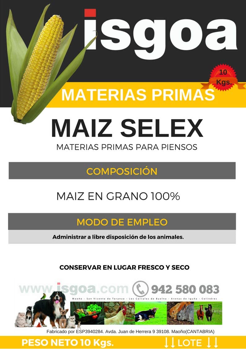  Maiz para Gallinas, Pollos.Saco 10 Kg Isgoa 