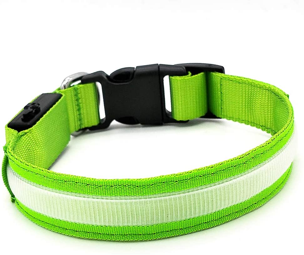  MASBRILL Collar de Perro Recargable de Seguridad LED - Collar Seguro Intermitente para Mascotas - Impermeable 