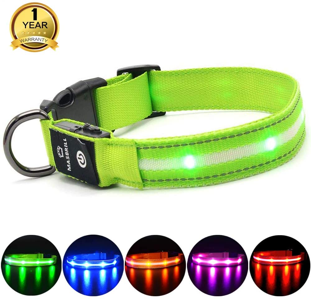  MASBRILL Cuello de Seguridad LED súper Brillante DC Recargable para Perros - excelente Visibilidad y Seguridad - Resistente al Agua 