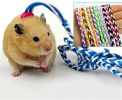  Mascota Rat Rat Leash Plomo Arnés Cuerda Hámster Rata Cuerda ajustable Color aleatorio 