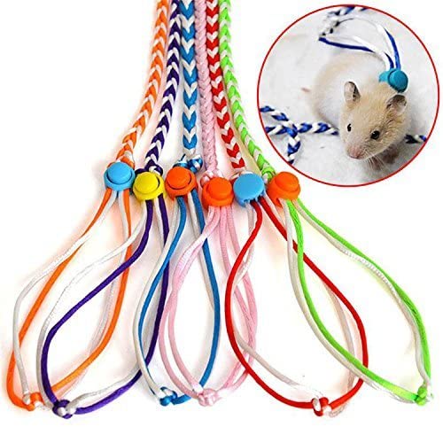  Mascota Rat Rat Leash Plomo Arnés Cuerda Hámster Rata Cuerda ajustable Color aleatorio 