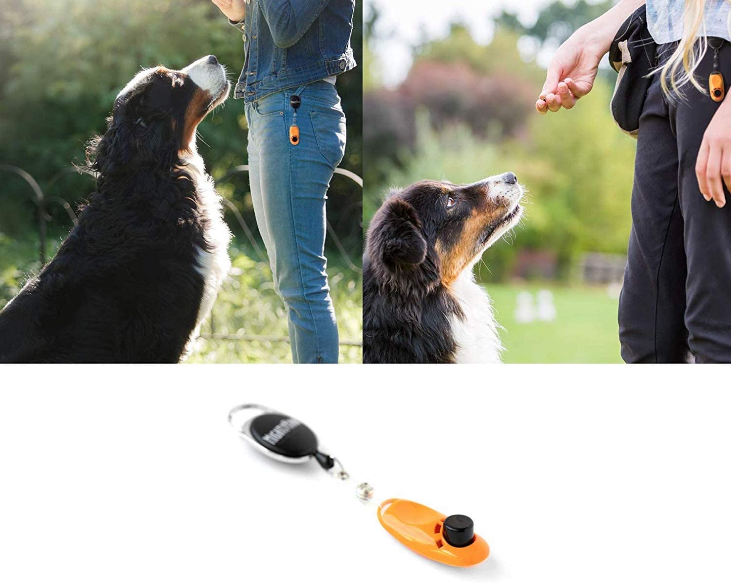  Mighty Paw Entrenamiento del Perro de Clicker, 2 Opciones de fijación, Clip de la Correa retráctil + Wrist Lanyard Naranja 