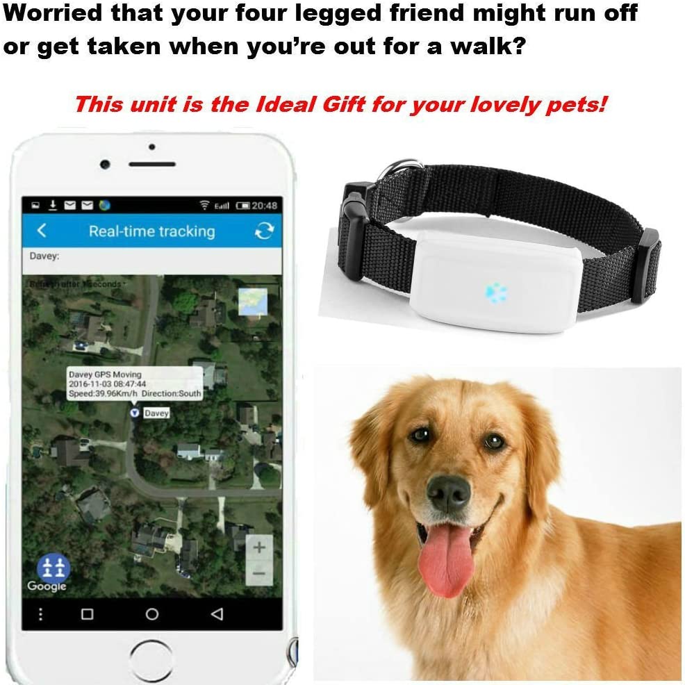  Mini GPS Localizador de Collar para Mascotas, impermeable Rastreador collar para perros y gatos Aplicación para smartphone PC Tablet 