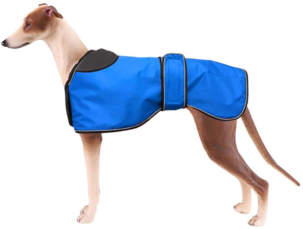  Morezi - Chaqueta Impermeable para Perro, Abrigo de Invierno con Forro Polar cálido, Ropa para Perro al Aire Libre con Bandas Ajustables para Perro Mediano y Grande 