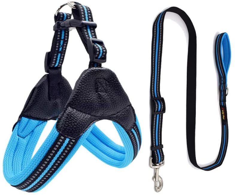  MYYXGS Arnés de Correas para Perros: Adecuado para Perros pequeños y medianos. No aprieta el Cuello con Rayas Reflectantes. Fácil de Usar. Perforación a Prueba de explosiones. Duradero M 