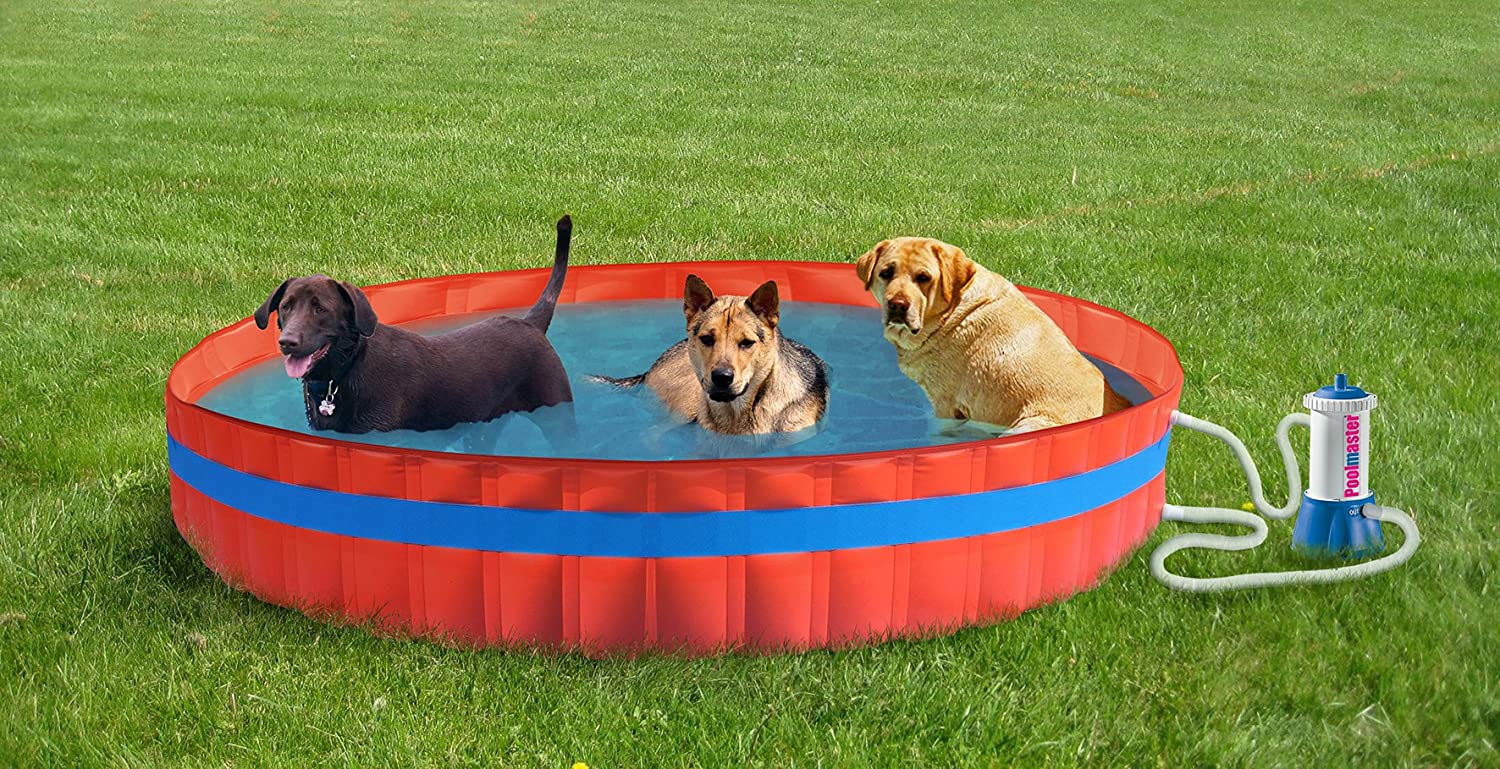  New Plast 3100 K – My Dog Pool Piscina para Perros con Filtro, 305 x 46 cm (diámetro x Altura) 