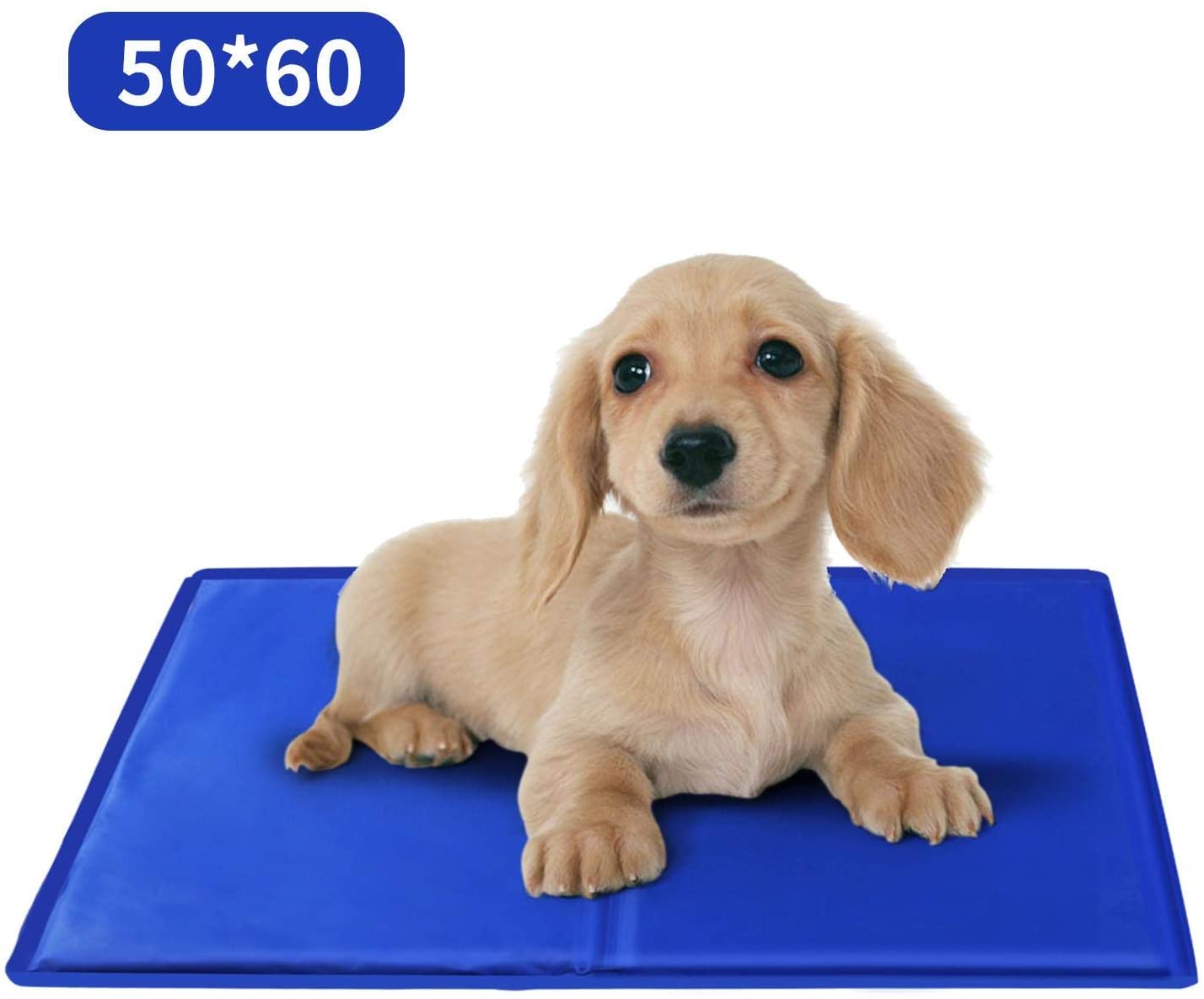  Nobleza – Alfombrilla refrescante para Mascotas Grandes. Auto refrigerante No tóxico. Ideal para para Perros, Gatos en Verano. 60 * 50 cm, Color Azul, M 