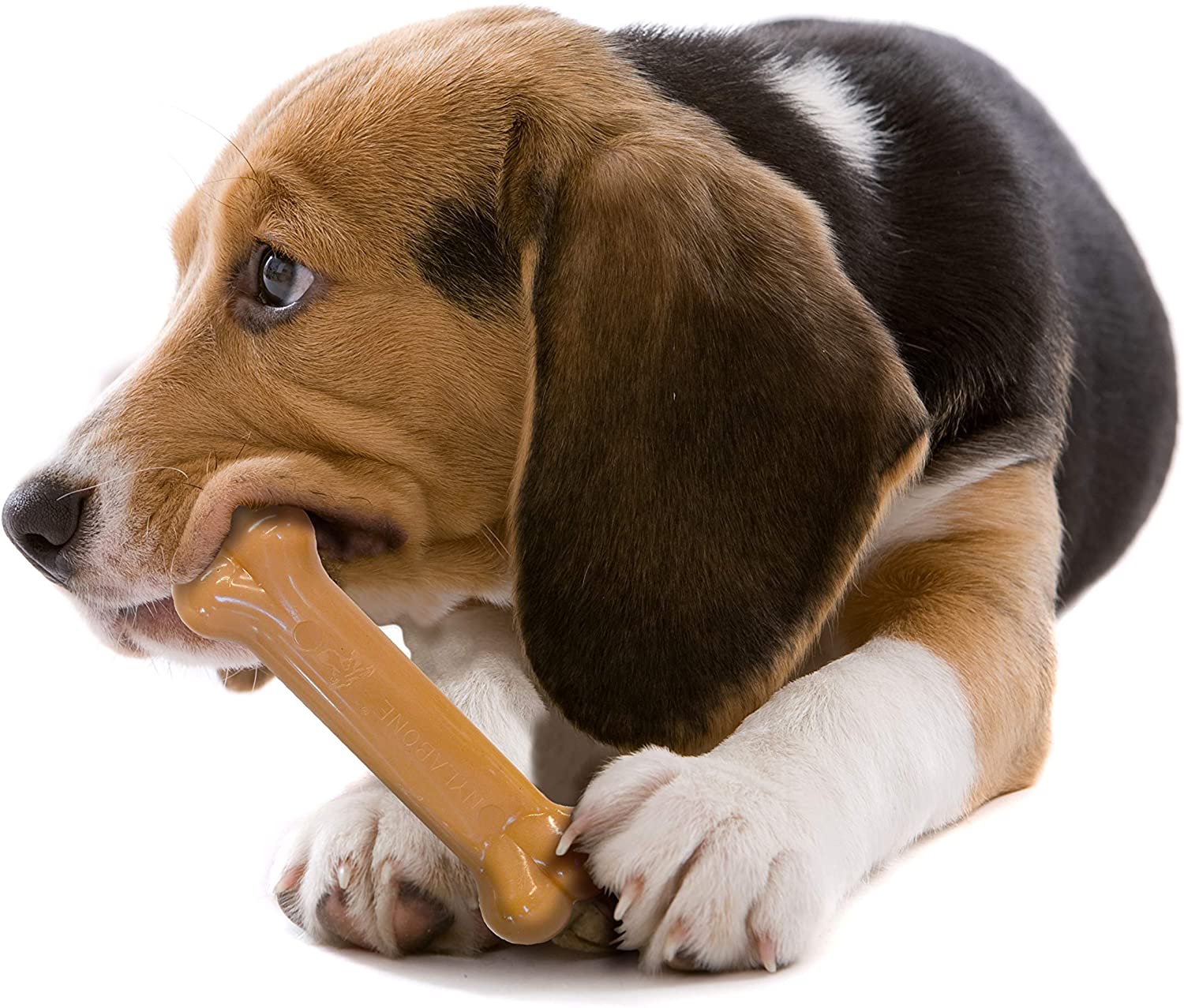  Nylabone - Juego de 2 Juguetes para Masticar Resistentes para Perros, con Sabor 