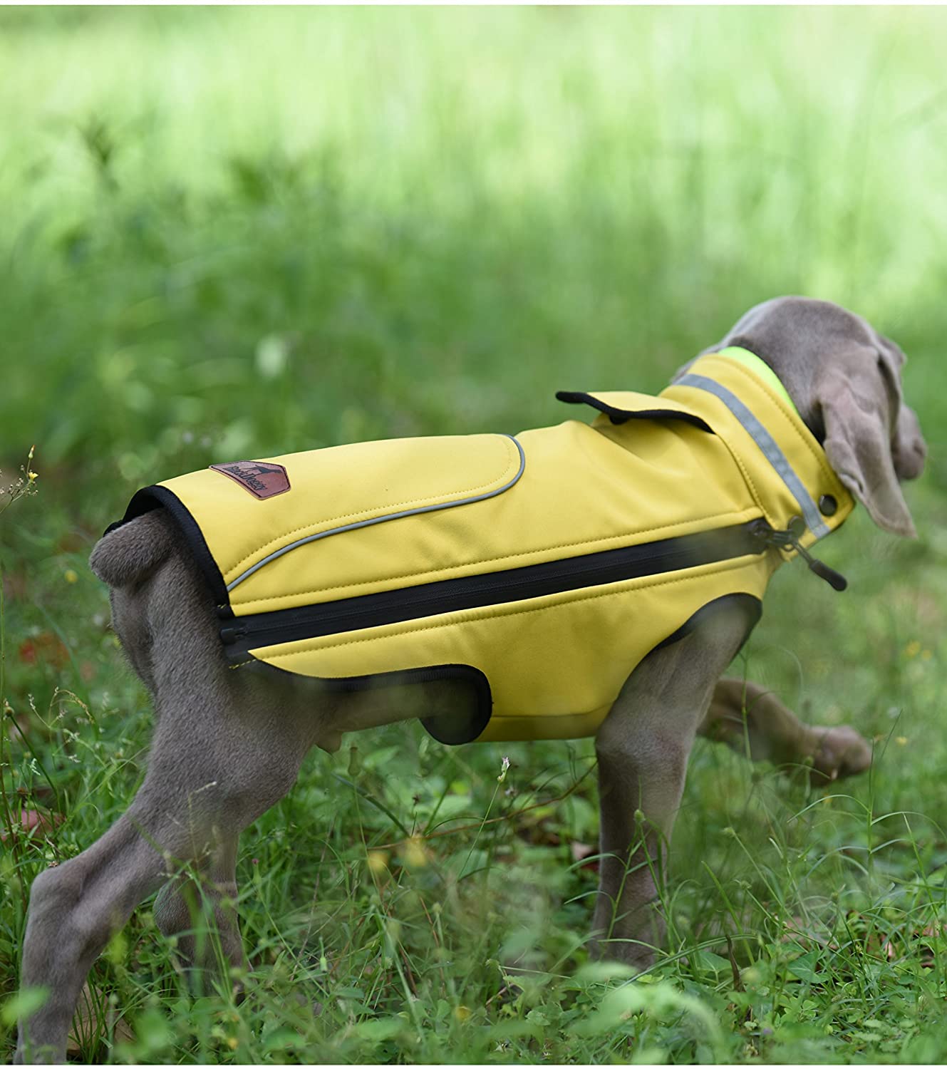  PALMFOX Impermeable Perro Abrigos Ripstop poliéster Respirable Malla Forro Duradera Lado Cremallera y Protector del Pecho, Chalecos Reflectantes del Perro de Borde Amarillo 3XL 