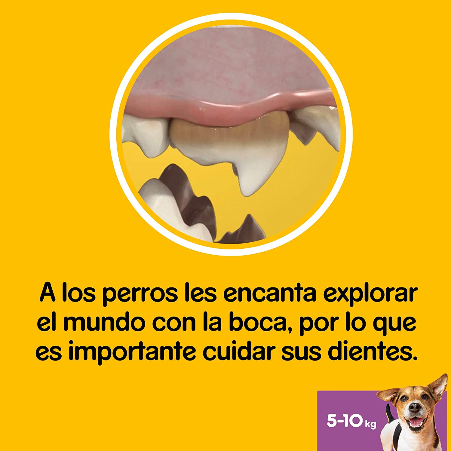  Pedigree Dentastix Premios Para Perros Pequeños de Higiene Oral - 110 gr 