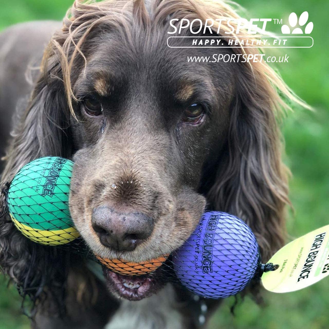  Pelotas de goma para perros SPORTSPET High Bounce Paquete de 3 unidades 