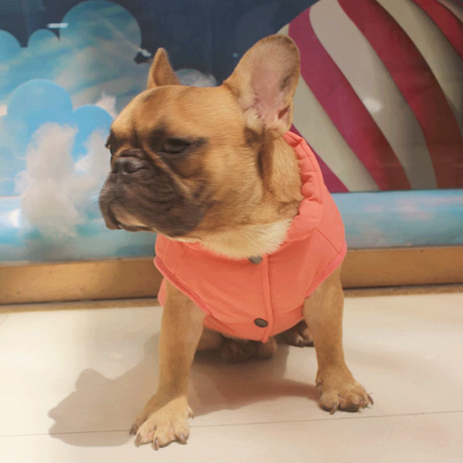  PENIVO Ropa de perro Abrigos y chaquetas abrigados de invierno, Chaleco de perro cachorro Ropa para perros pequeños medianos Perros Ropa de plumas 