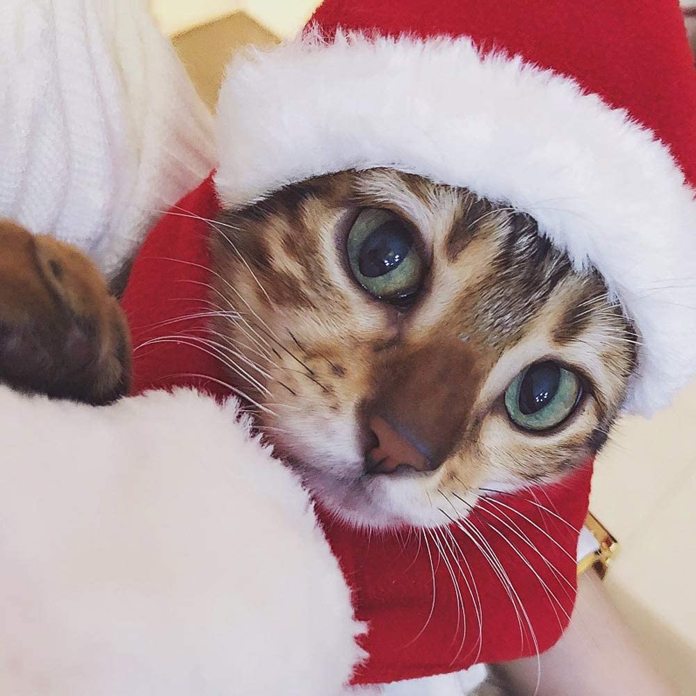  Perro Gato Mascotas Sombrero de Santa – Navidad Disfraz Silenciador Cosplay Disfraces Ropa de Perro Invierno para Cachorros Gatitos pequeños Gatos Perros Mascotas liebens Valor y cálido Rojo y Blanco 