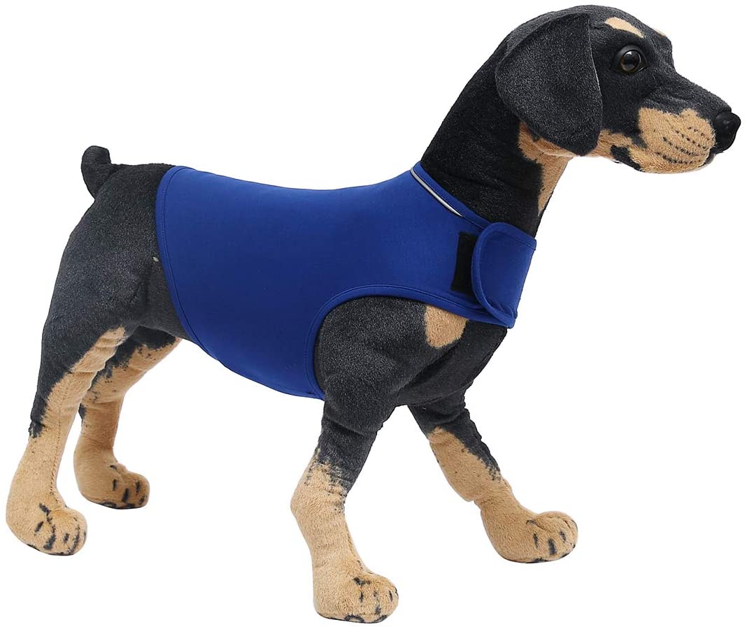  Pethiy Calming Chaleco para Perros, para truenos y ansiedad, para Perros XS, S, M, L, XL (C561) 