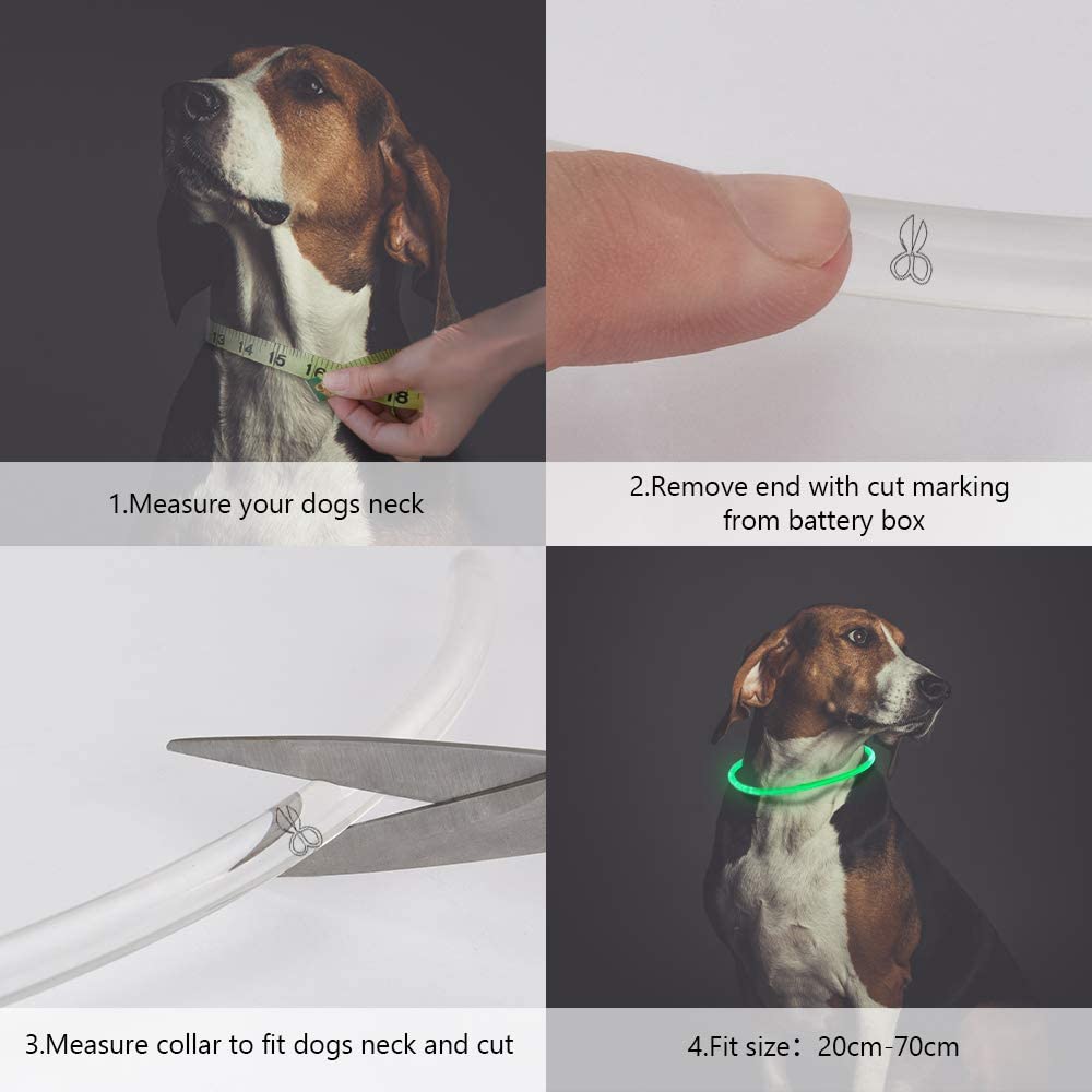  PetIsay Collar de Perro LED, USB Recargable Collar de Seguridad para Mascotas Impermeable hasta la Longitud de 70 cm (27.5in) Collar de Destello Ajustable (Verde) 