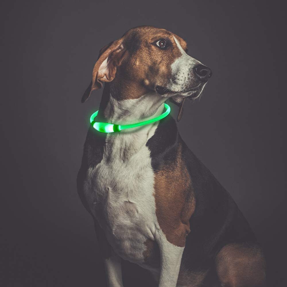  PetIsay Collar de Perro LED, USB Recargable Collar de Seguridad para Mascotas Impermeable hasta la Longitud de 70 cm (27.5in) Collar de Destello Ajustable (Verde) 