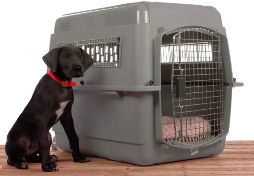  Petmate Transportin Sky Kennel 28, 71 x 52 x 55 cm, Gris, 71 x 52 x 54 cm 