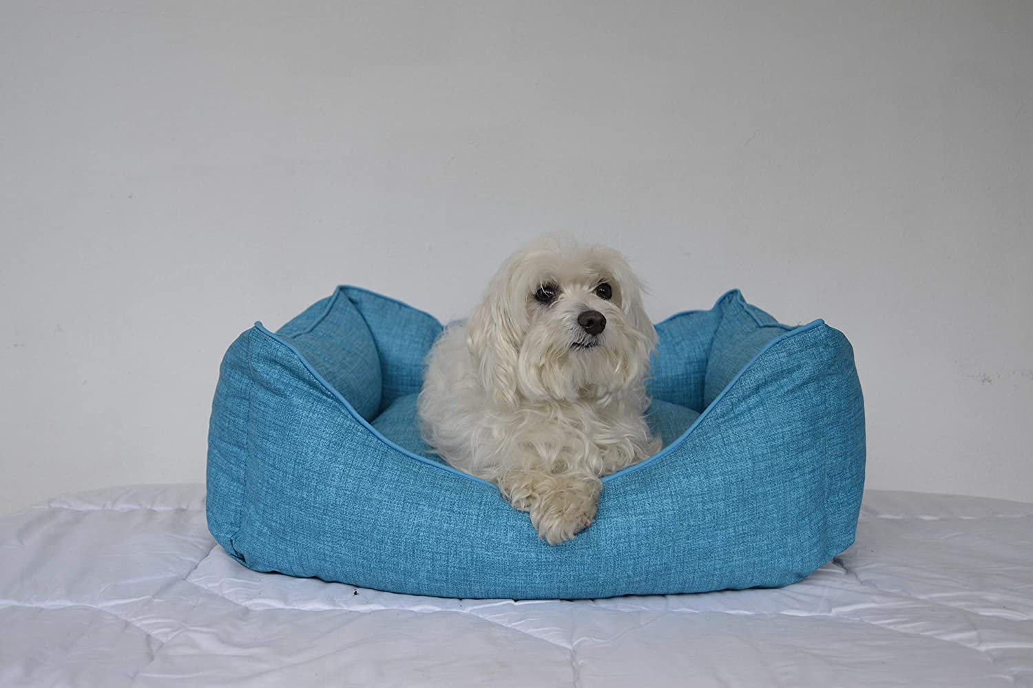  PETPLUS Cama para EL Perro Salud (PEQUEÑO 50X40CM) 