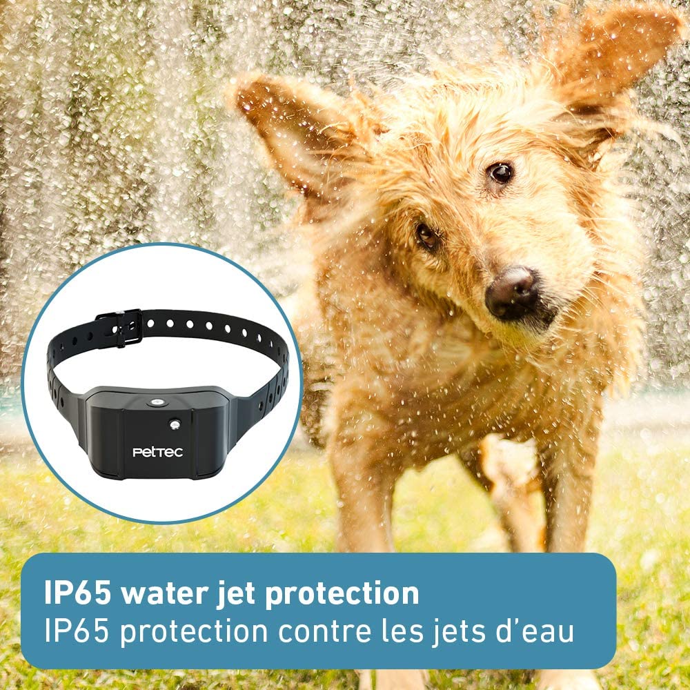  PetTec Anti-Bark Spray Trainer Advance y Seguro para Perros con Detección Avanzada de Ladrido; Inteligente y Ajustable, Impermeable (IP65); Batería Recargable con 2 Aerosoles de Repuesto (Citronela) 