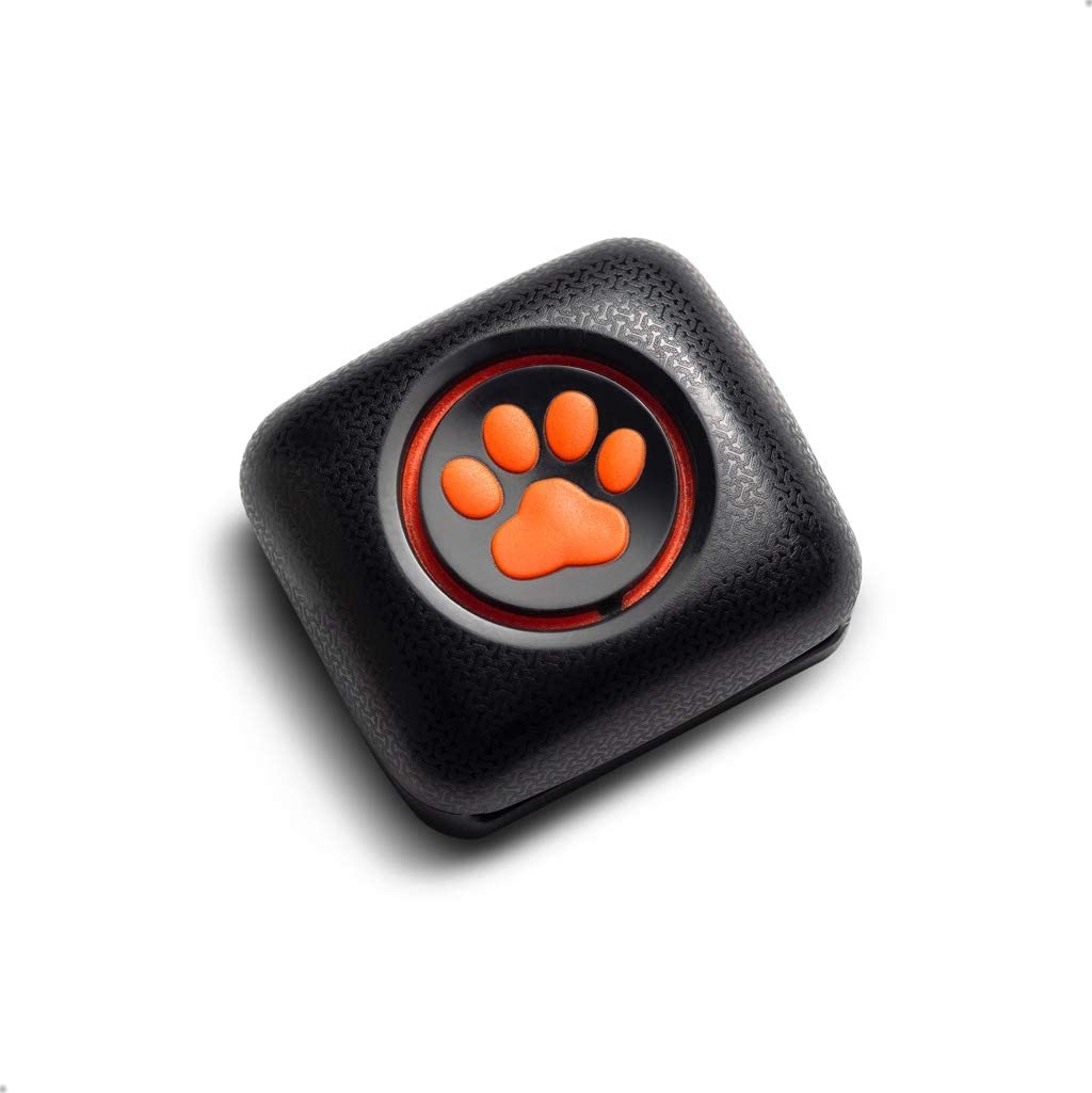  Pitpat 2 - Monitor de Actividad para Perros 