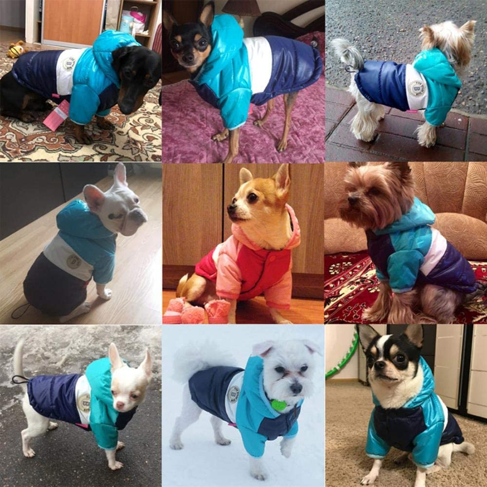  PONNMQ Ropa para Perros de Invierno para Perros pequeños Cachorro cálido para Mascotas Chaqueta de plumón para Gatos Abrigo Impermeable para Perros Chihuahua Bulldog francés Ropa para Perros, 3,16 