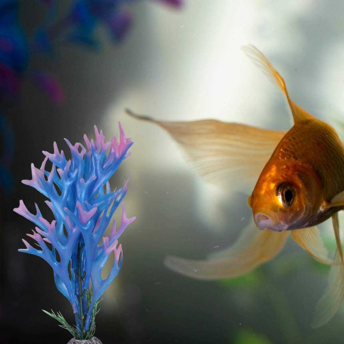  POPETPOP 2 Piezas de Plantas de Acuario de plástico - simulación de Cuerno de Ciervo de plástico Plantas acuáticas de paisajismo Artificial Acuario decoración de Tanque de Peces Azul 